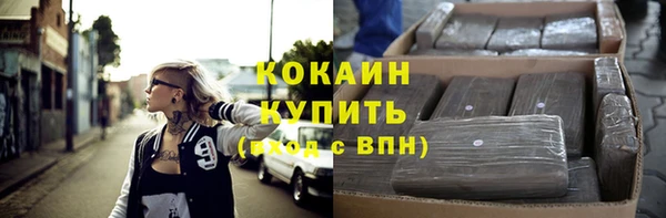 mdpv Богородицк