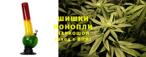 mdpv Богородицк
