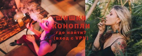 mdpv Богородицк