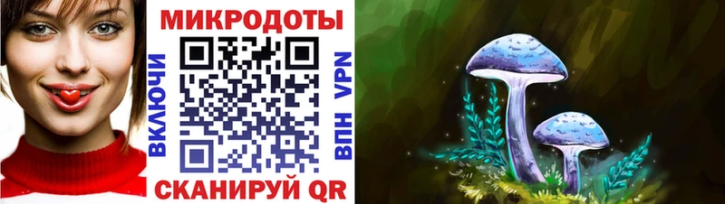 Галлюциногенные грибы Psilocybe  kraken вход  Торопец 